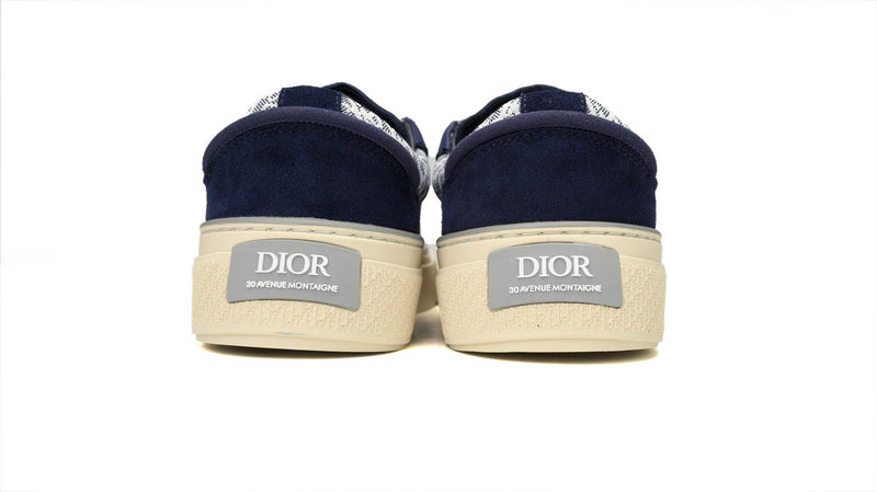 DIOR B33