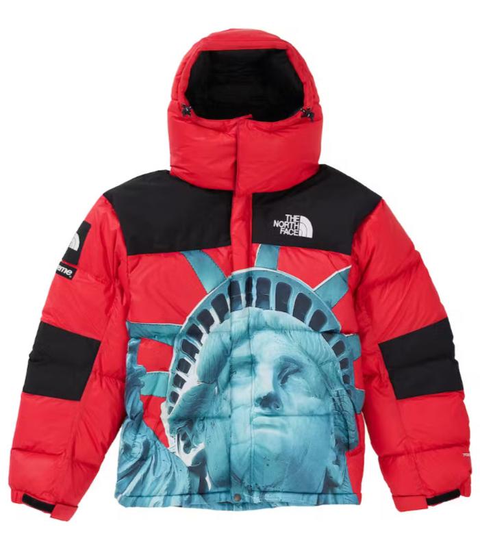 THE NORTH FACE x SUPREME JACKET