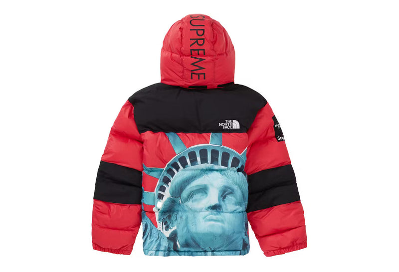 THE NORTH FACE x SUPREME JACKET