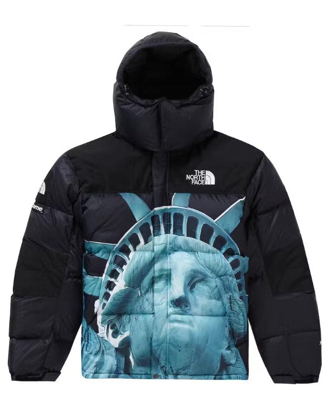 THE NORTH FACE x SUPREME JACKET