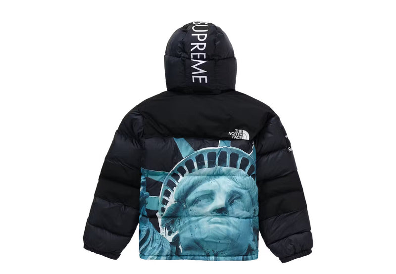 THE NORTH FACE x SUPREME JACKET