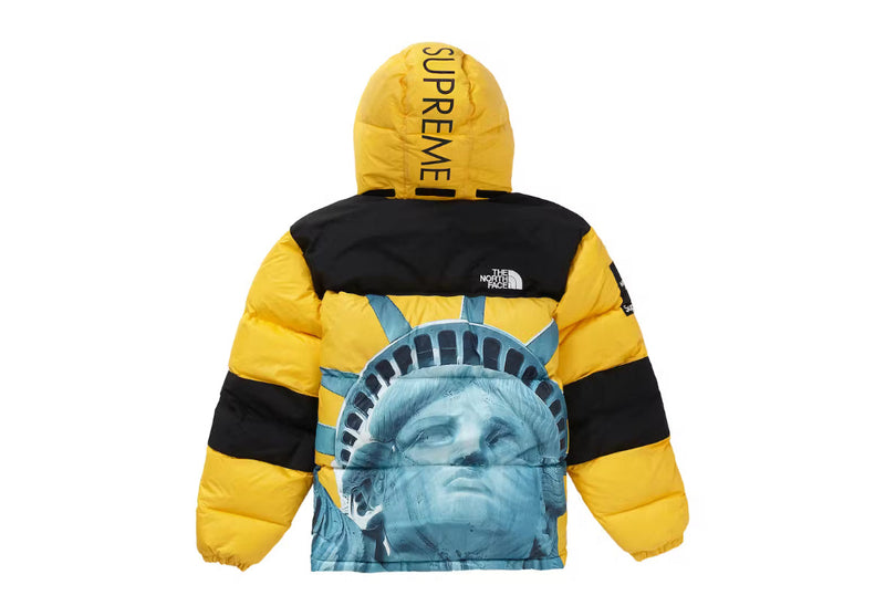 THE NORTH FACE x SUPREME JACKET