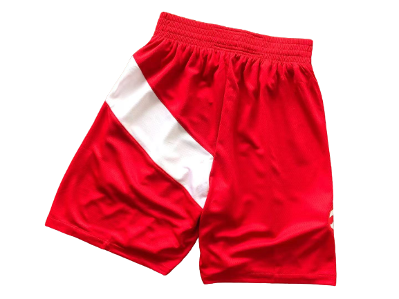 BASKET SHORTS