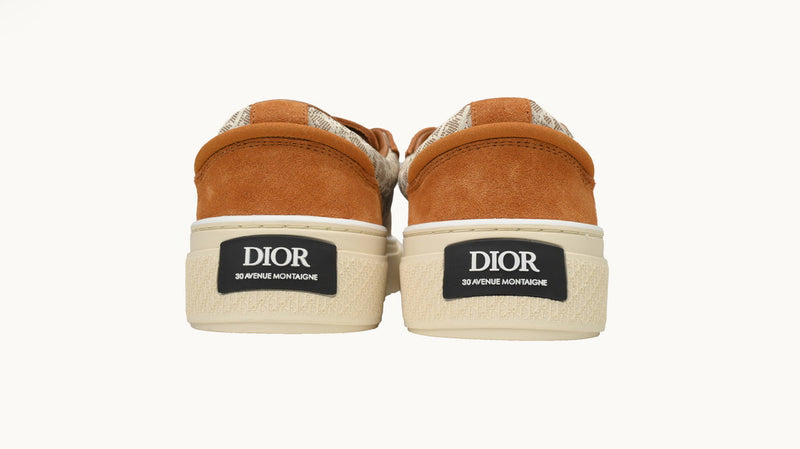 DIOR B33